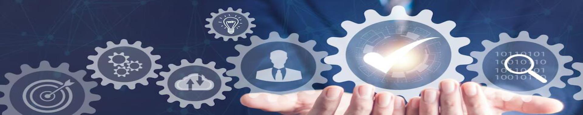 Insurance Claims Investigation